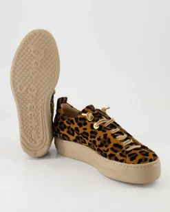 5317-026 Sneaker in Braun