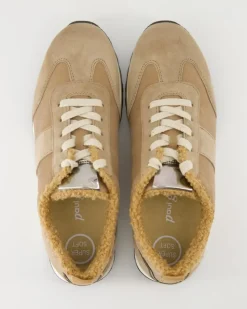 5365-036 Sneaker in Braun