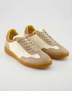 16540 Sneaker in Braun