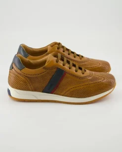 70404 Sneaker in Braun