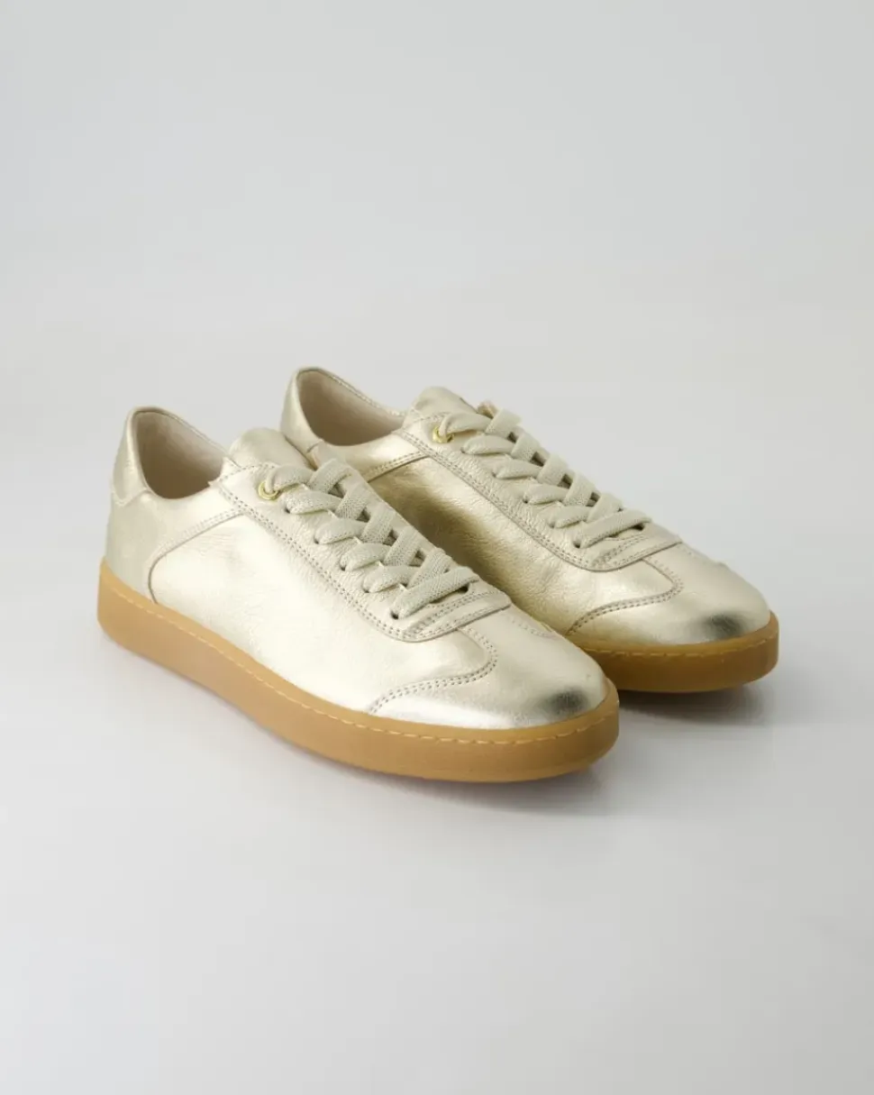 6616 Sneaker in Gold