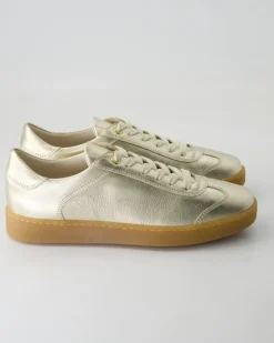 6616 Sneaker in Gold