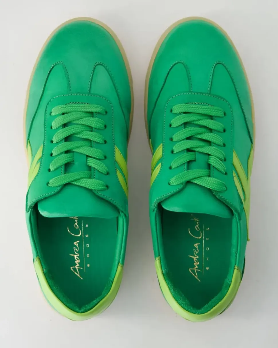 00671511653 Sneaker in Grün