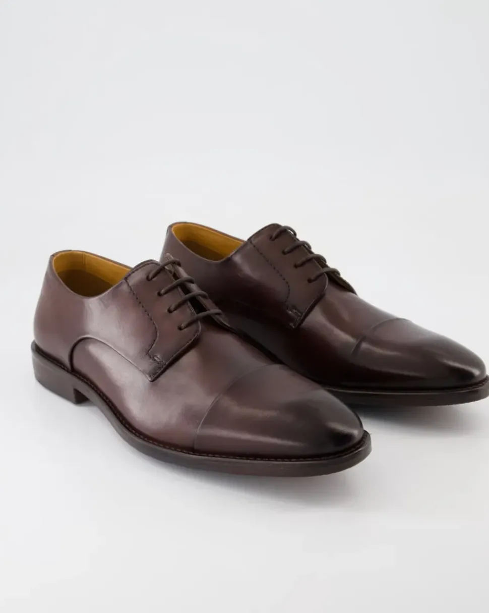 Stan Business Schuhe in Braun