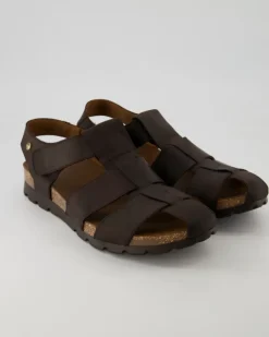 Stanley C6 Sandalen in Braun
