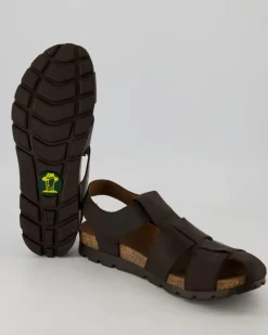 Stanley C6 Sandalen in Braun