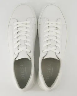 Summer Sneaker in Weiß