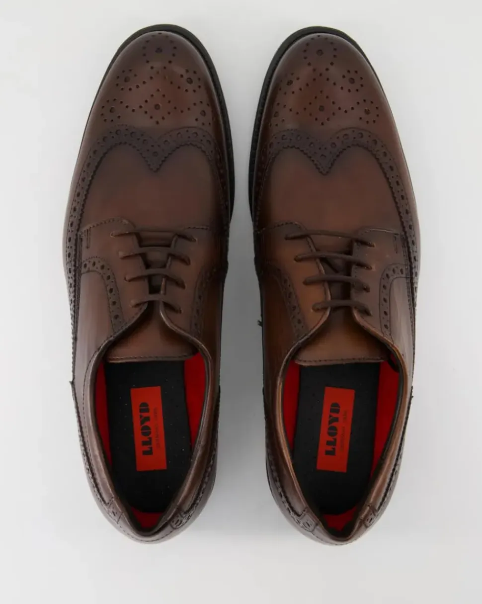 TAMPICO Schnürschuhe in Braun