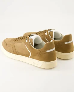 Tedroso-704 Schnürschuhe in Braun