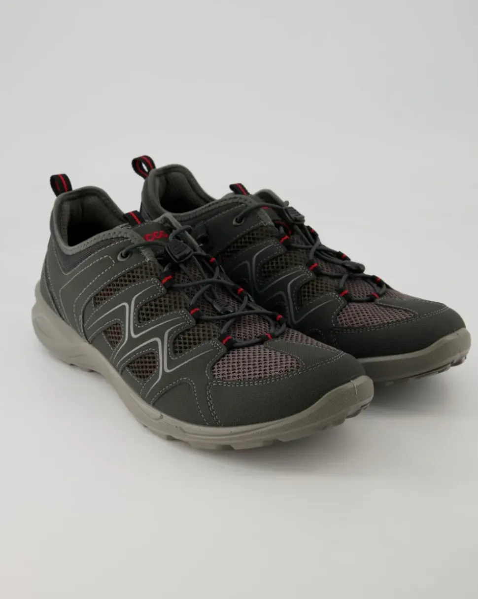Terracruise LT M Wanderschuhe in Grau