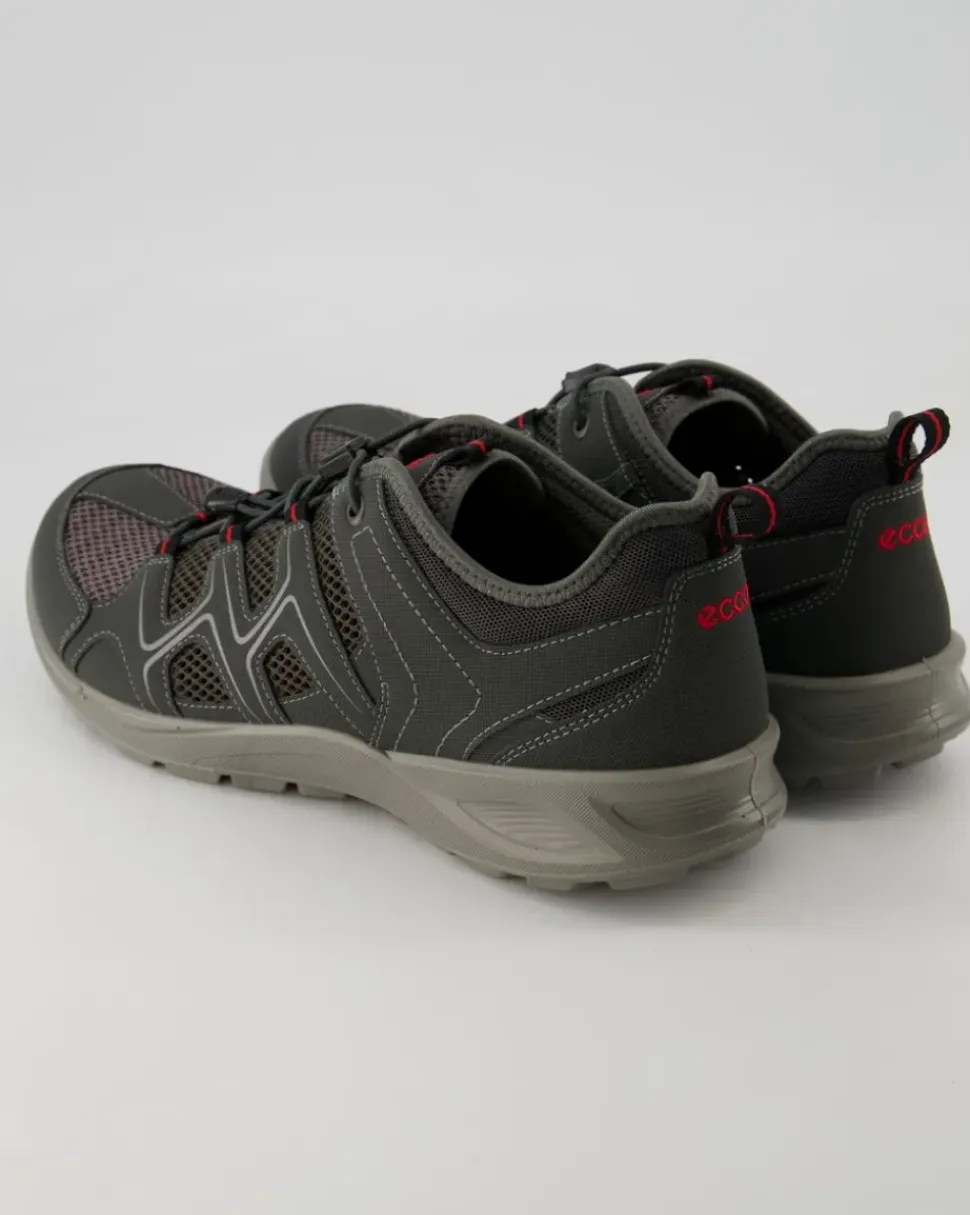 Terracruise LT M Wanderschuhe in Grau