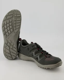 Terracruise LT M Wanderschuhe in Grau