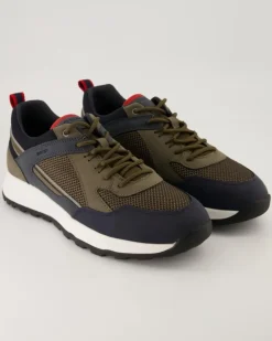 TERRESTRE Sneaker in Grün