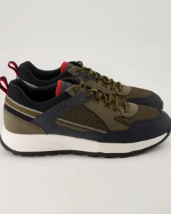 TERRESTRE Sneaker in Grün