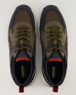 TERRESTRE Sneaker in Grün