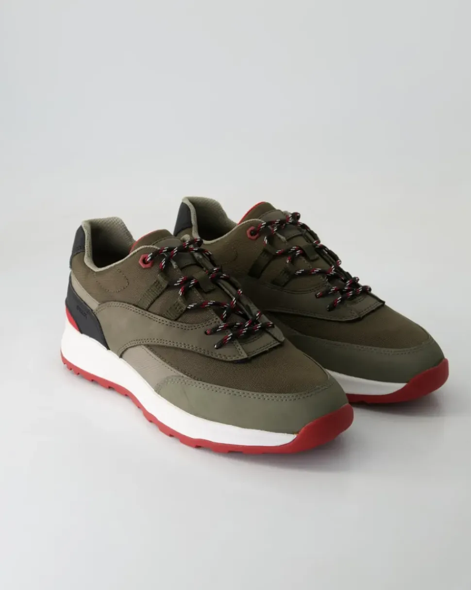 Terrestre Sneaker in Grün
