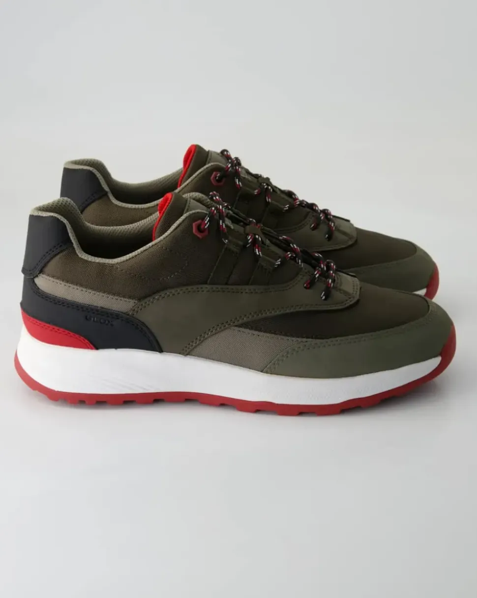 Terrestre Sneaker in Grün