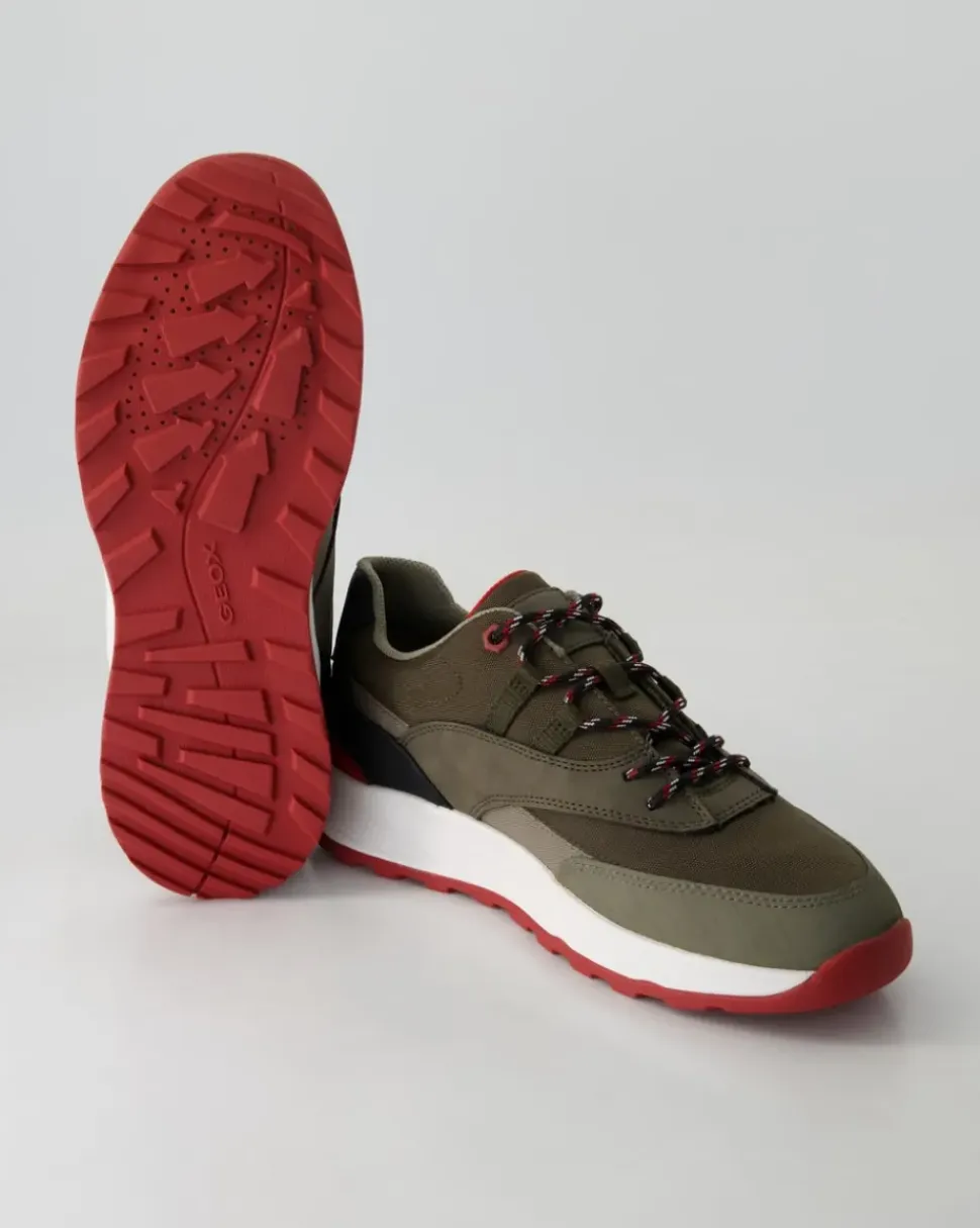 Terrestre Sneaker in Grün