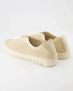 Tulip3275 Slipper in Beige