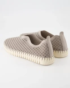 Tulip3275 Slipper in Grau