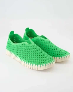 Tulip3275 Slipper in Grün