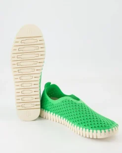 Tulip3275 Slipper in Grün
