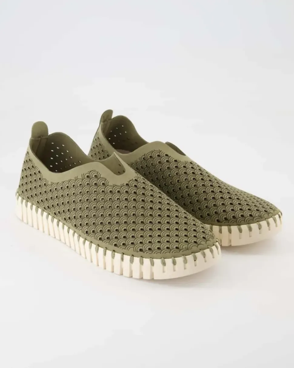 Tulip3275 Slipper in Grün
