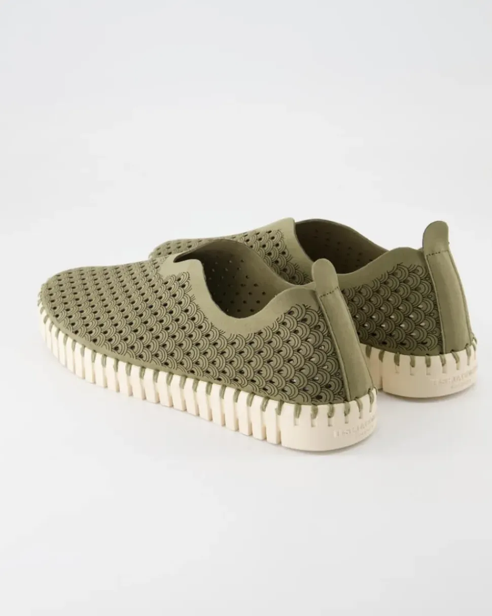 Tulip3275 Slipper in Grün