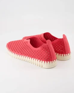 Tulip3275 Slipper in Pink