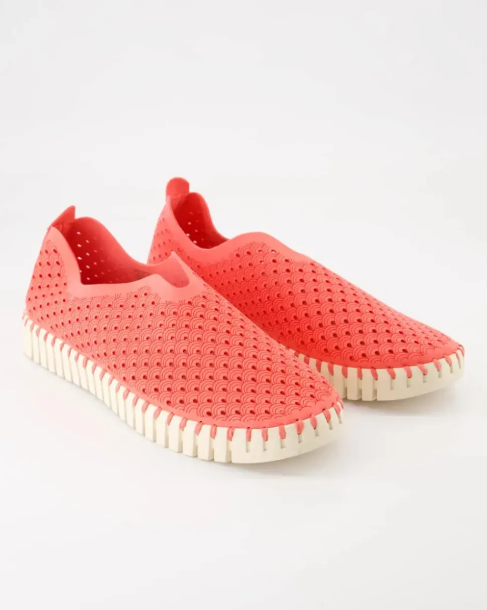 TULIP3275 Slipper in Rosa