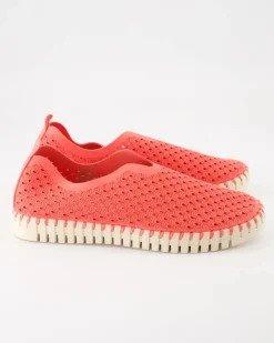 TULIP3275 Slipper in Rosa