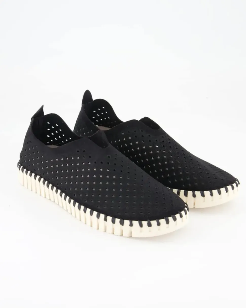 Tulip3275 Slipper in Schwarz