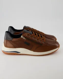 Turibio-710-J Sneaker in Braun