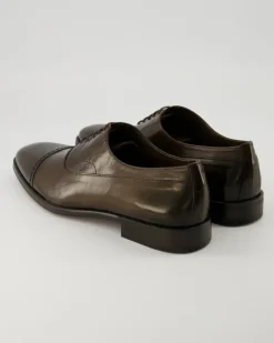 Vesley Business Schuhe in Braun