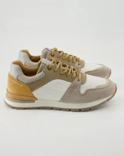 Vince Sneaker in Beige