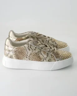 V250217-401 Sneaker in Braun