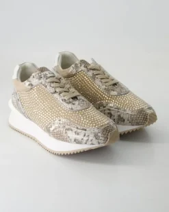 V250217-401 Sneaker in Braun