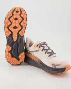 W Challenger Atr 7 GTX Sportschuhe in Rosa