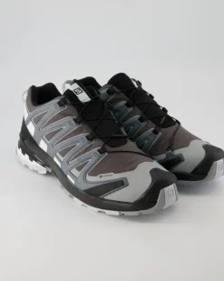 XA Pro 3D v8 GTX Wanderschuhe in Grau