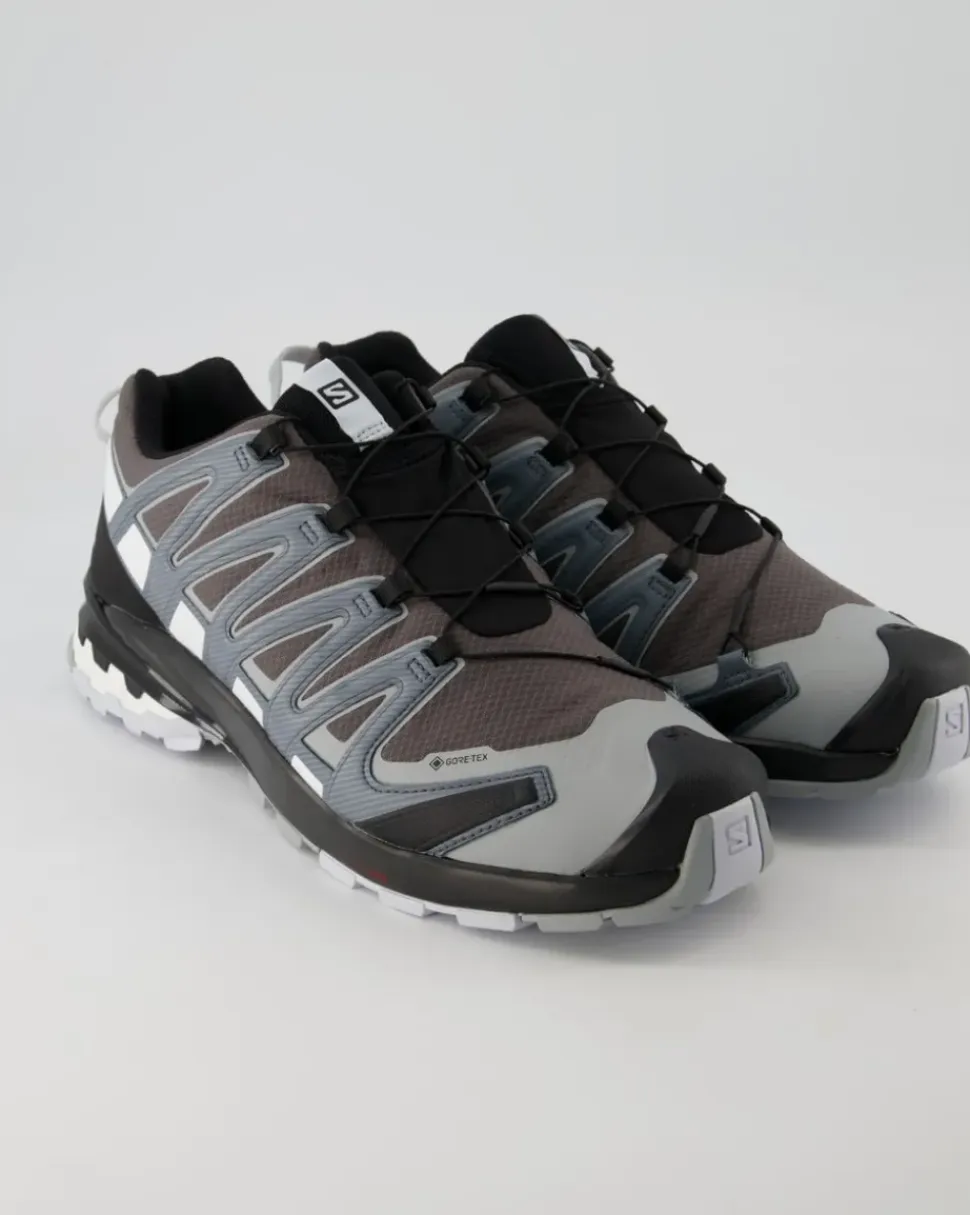 XA Pro 3D v8 GTX Wanderschuhe in Grau