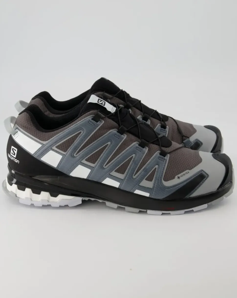 XA Pro 3D v8 GTX Wanderschuhe in Grau
