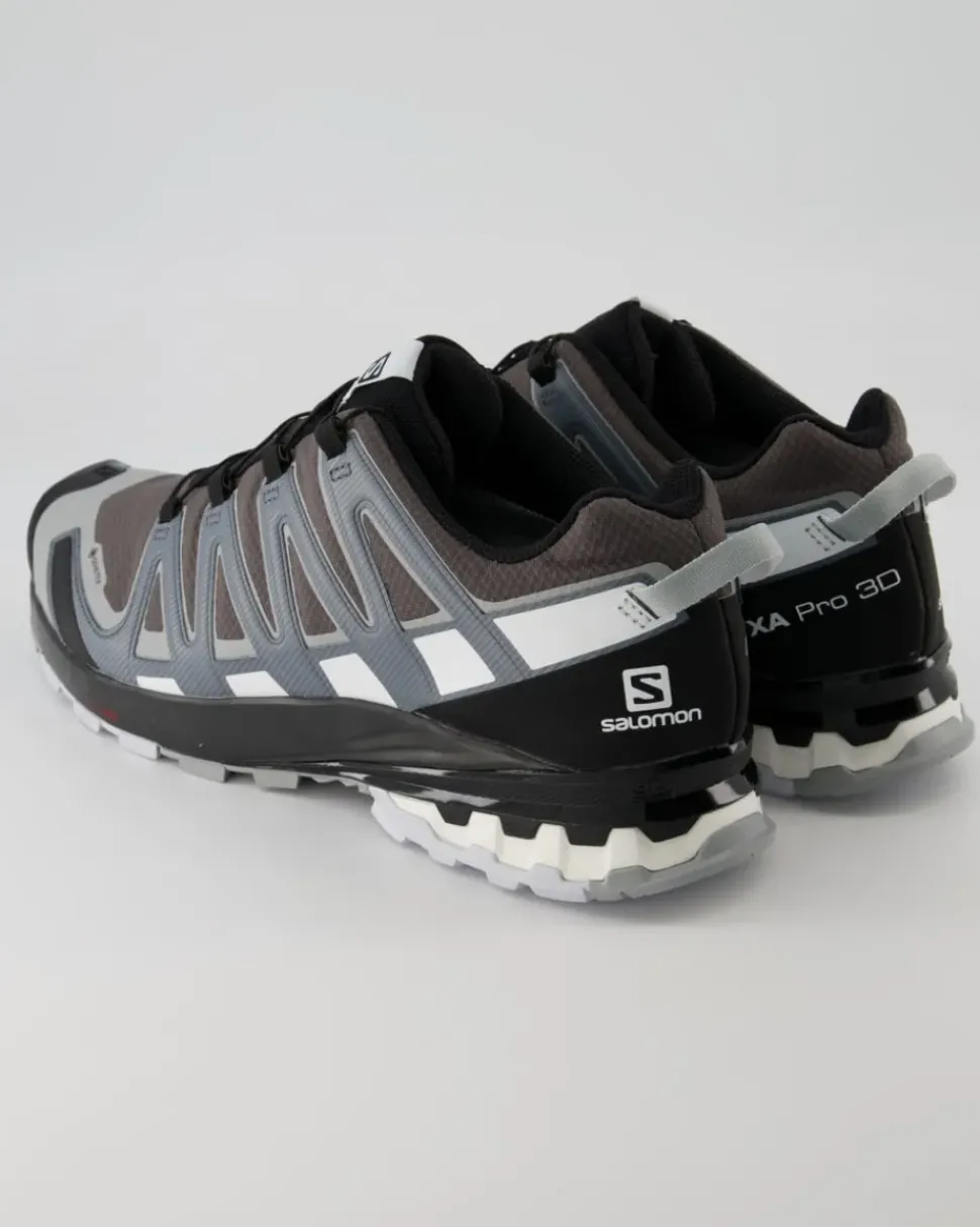 XA Pro 3D v8 GTX Wanderschuhe in Grau