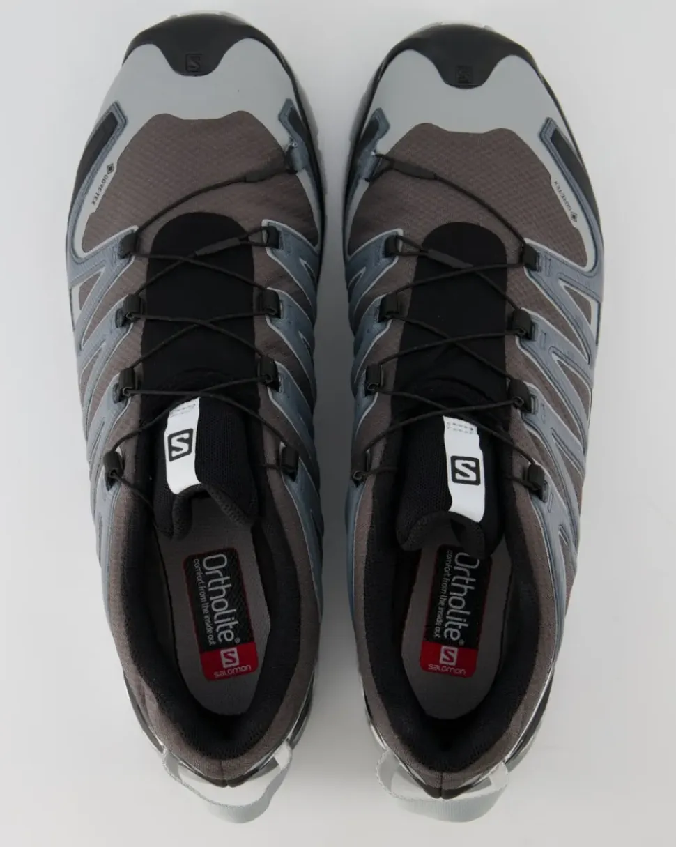 XA Pro 3D v8 GTX Wanderschuhe in Grau