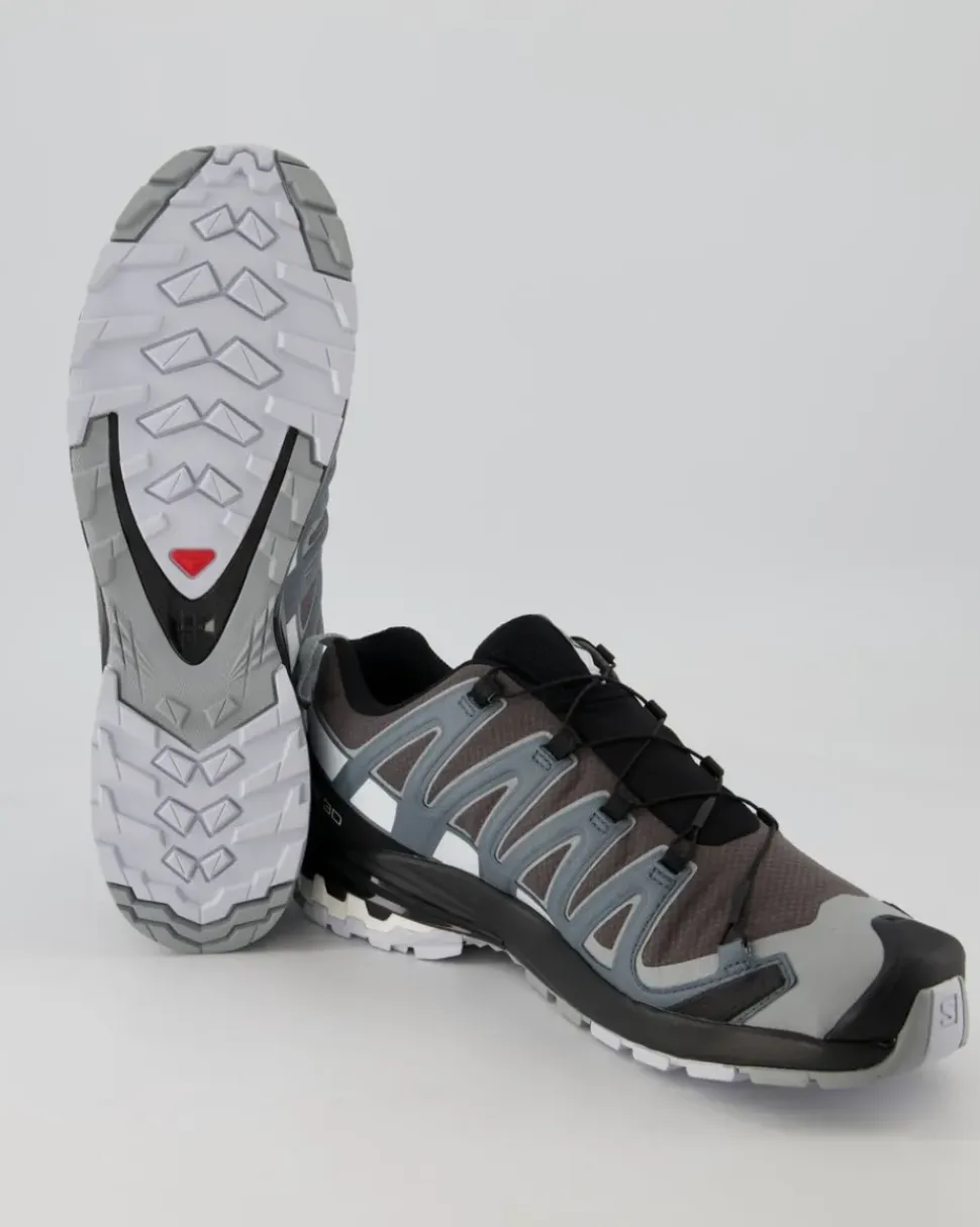 XA Pro 3D v8 GTX Wanderschuhe in Grau