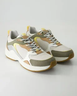Zarvia Sneaker in Mehrfarbig